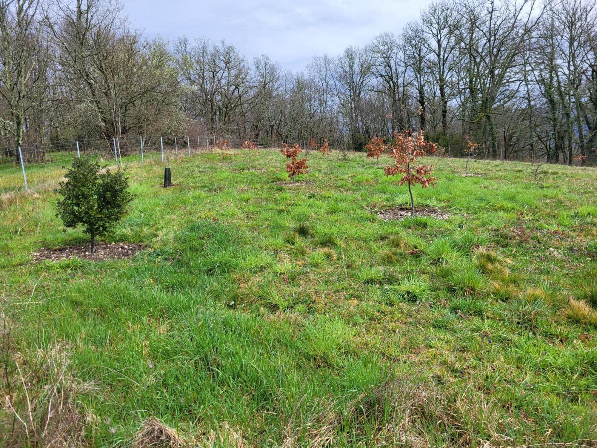 La Grange Du Chateau Boissieres  Zewnętrze zdjęcie